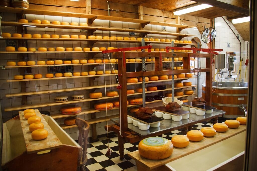 cheese 21824 1280